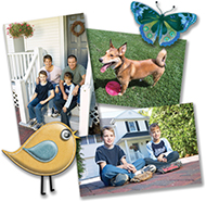 Import your personal photos, and embellish your designs with premium images.