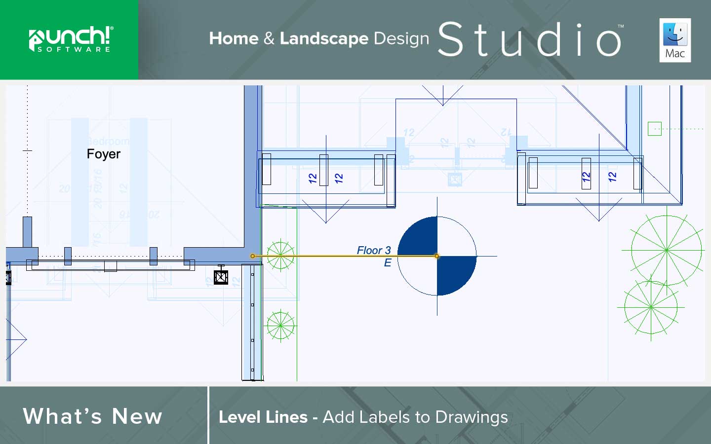 Level Lines